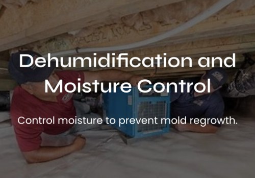 #1 Voted Best Dehumidification and Moisture Control Services in Washington D.C., Maryland, and Virginia (DMV)