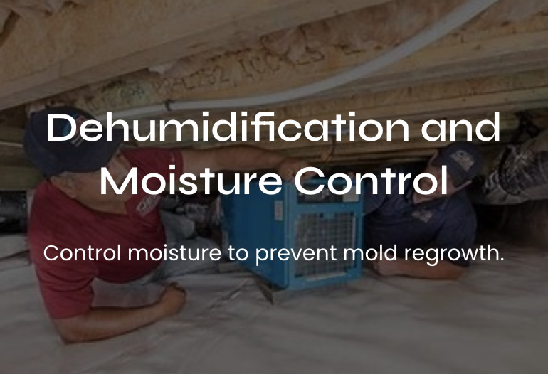 Bathroom Remodeling Flood Restoration Companies Near Me Kitc #1 Voted Best Dehumidification and Moisture Control Services in Washington D.C., Maryland, and Virginia (DMV)