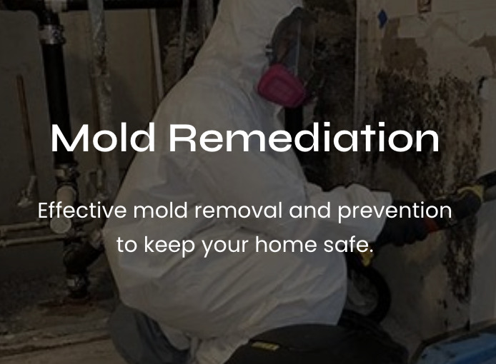 Flood Restoration Companies Near Me Kitchen Remodeling Water #1 Voted Best Mold Remediation Services in Washington D.C., Maryland, and Virginia (DMV)
