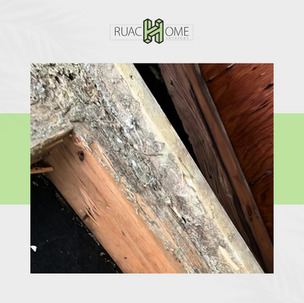 Water Mitigation Company Bathroom Damage Repair Bathroom Remodeling Bathroom Remodeling, Kitchen Remodeling Flood Restoration Companies Near Me Kitchen Remodeling Water Damage Restoration #1 Voted Best Structural Drying Services in Washington D.C., Maryland, and Virginia (DMV)